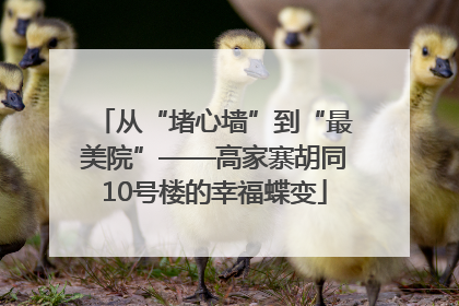 从“堵心墙”到“最美院”——高家寨胡同10号楼的幸福蝶变