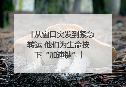 从窗口突发到紧急转运 他们为生命按下“加速键”