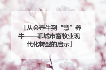 从会养牛到“慧”养牛——聊城市畜牧业现代化转型的启示