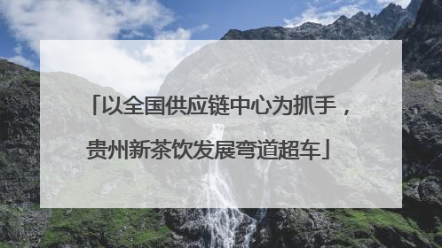 以全国供应链中心为抓手，贵州新茶饮发展弯道超车