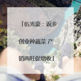 伍光豪：返乡创业种蔬菜 产销两旺促增收