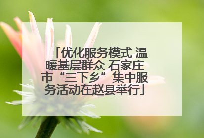 优化服务模式 温暖基层群众 石家庄市“三下乡”集中服务活动在赵县举行