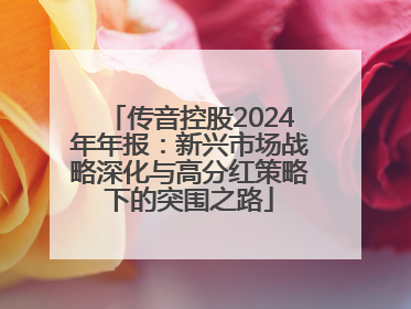 传音控股2024年年报：新兴市场战略深化与高分红策略下的突围之路