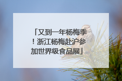 又到一年杨梅季！浙江杨梅赴沪参加世界级食品展