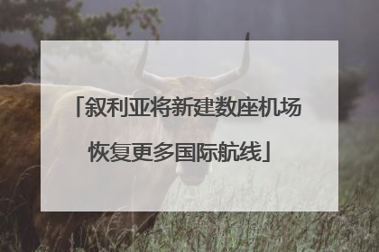 叙利亚将新建数座机场 恢复更多国际航线