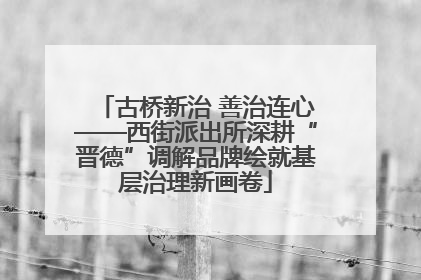 古桥新治 善治连心——西街派出所深耕“晋德”调解品牌绘就基层治理新画卷