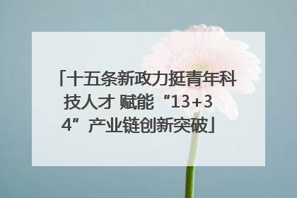 十五条新政力挺青年科技人才 赋能“13+34”产业链创新突破