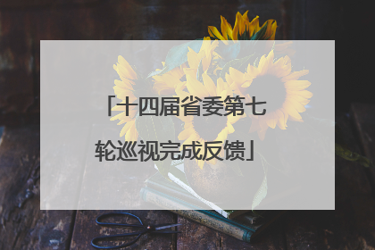 十四届省委第七轮巡视完成反馈