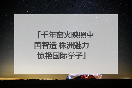 千年窑火映照中国智造 株洲魅力惊艳国际学子