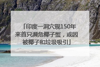 印度一洞穴现150年来首只濒危椰子蟹，或因被椰子和垃圾吸引