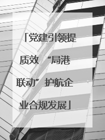 党建引领提质效 “局港联动”护航企业合规发展