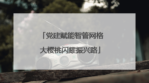 党建赋能智管网格 大樱桃闪耀振兴路