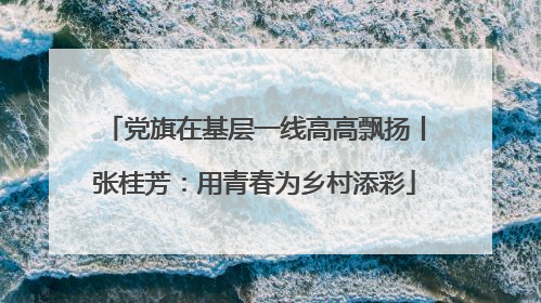 党旗在基层一线高高飘扬丨张桂芳：用青春为乡村添彩