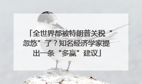 全世界都被特朗普关税“忽悠”了？知名经济学家提出一条“多赢”建议