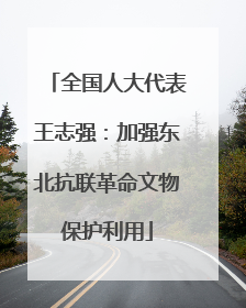 全国人大代表王志强：加强东北抗联革命文物保护利用