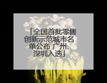 全国首批零售创新示范城市名单公布 广州、深圳入选