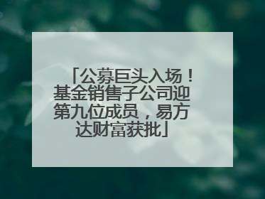 公募巨头入场！基金销售子公司迎第九位成员，易方达财富获批