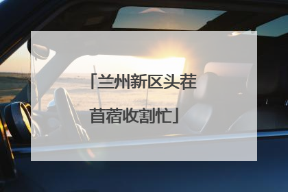兰州新区头茬苜蓿收割忙