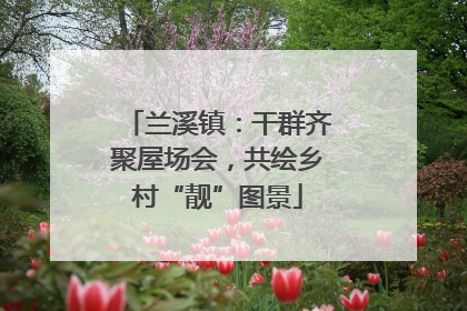 兰溪镇：干群齐聚屋场会，共绘乡村“靓”图景