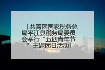 共青团国家税务总局平江县税务局委员会举行“五四青年节”主题团日活动