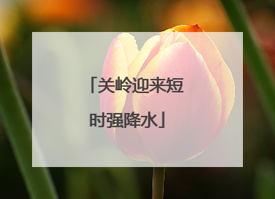 关岭迎来短时强降水