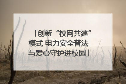 创新“校网共建”模式 电力安全普法与爱心守护进校园