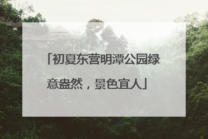 初夏东营明潭公园绿意盎然，景色宜人