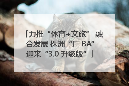 力推“体育+文旅” 融合发展 株洲“厂 BA”迎来“3.0 升级版”