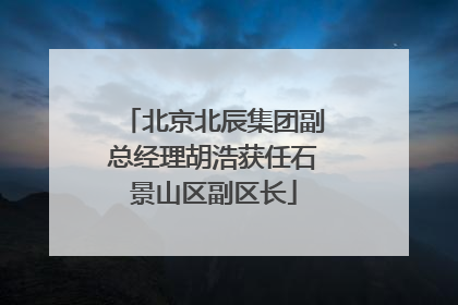 北京北辰集团副总经理胡浩获任石景山区副区长