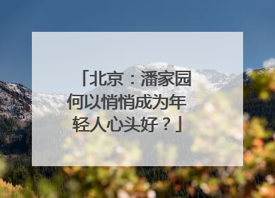 北京：潘家园何以悄悄成为年轻人心头好？