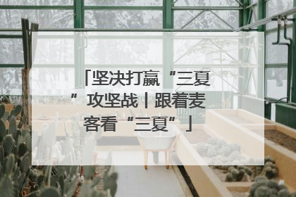 坚决打赢“三夏”攻坚战丨跟着麦客看“三夏”
