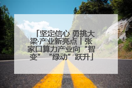 坚定信心 勇挑大梁·产业新亮点丨张家口算力产业向“智变”“绿动”跃升