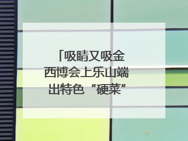 吸睛又吸金 西博会上乐山端出特色“硬菜”｜西博视界