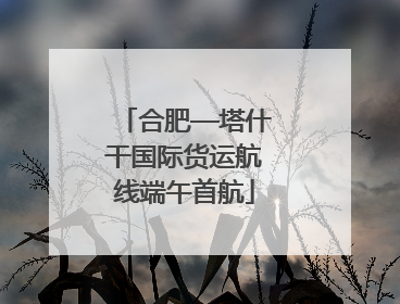 合肥—塔什干国际货运航线端午首航