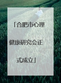 合肥市心理健康研究会正式成立