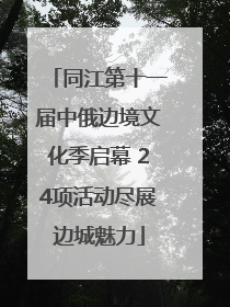 同江第十一届中俄边境文化季启幕 24项活动尽展边城魅力