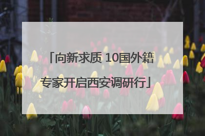 向新求质 10国外籍专家开启西安调研行