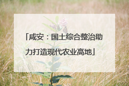 咸安：国土综合整治助力打造现代农业高地