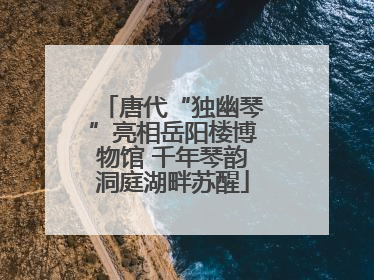 唐代“独幽琴”亮相岳阳楼博物馆 千年琴韵洞庭湖畔苏醒