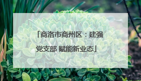 商洛市商州区：建强党支部 赋能新业态