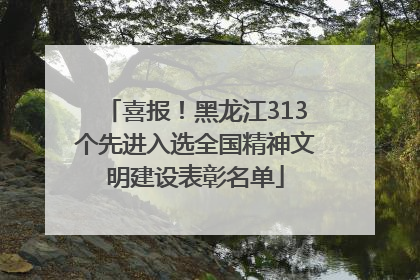 喜报！黑龙江313个先进入选全国精神文明建设表彰名单