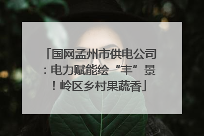国网孟州市供电公司：电力赋能绘“丰”景！岭区乡村果蔬香