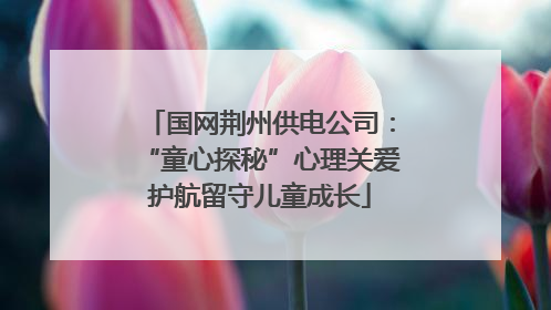 国网荆州供电公司：“童心探秘”心理关爱护航留守儿童成长