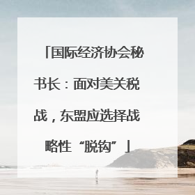 国际经济协会秘书长：面对美关税战，东盟应选择战略性“脱钩”