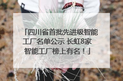 四川省首批先进级智能工厂名单公示 长虹8家智能工厂榜上有名！