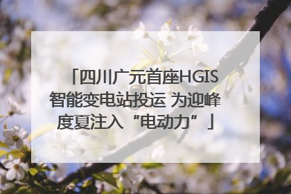 四川广元首座HGIS智能变电站投运 为迎峰度夏注入“电动力”