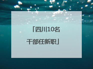 四川10名干部任新职
