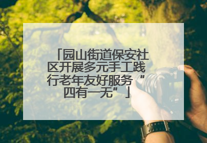 园山街道保安社区开展多元手工践行老年友好服务“四有一无”