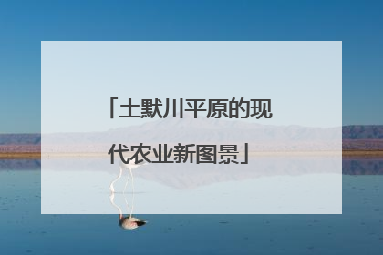 土默川平原的现代农业新图景