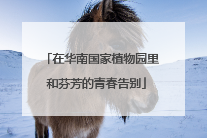 在华南国家植物园里和芬芳的青春告别